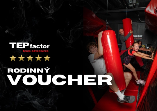 Discounted Family Voucher